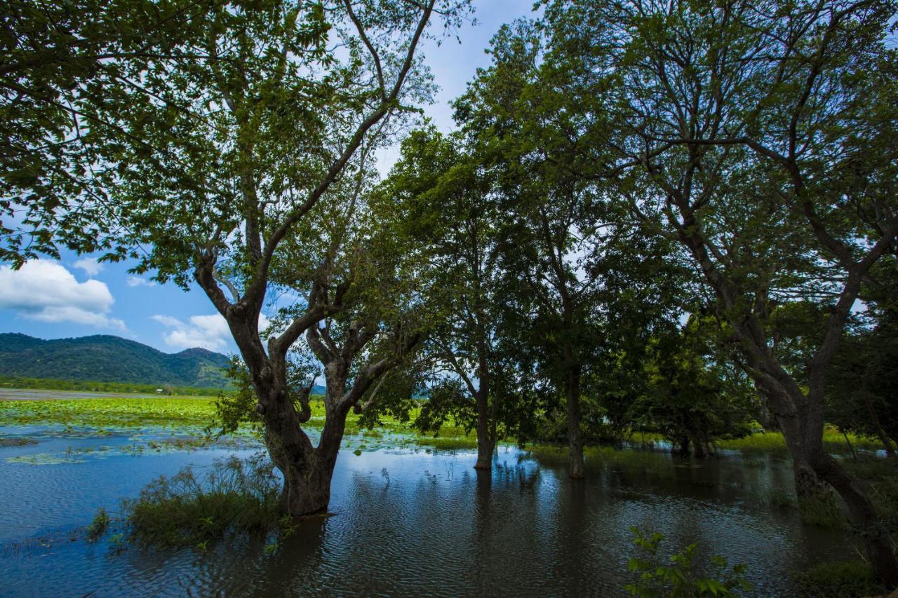 Grand Tamarind Lake Kataragama Exterior foto